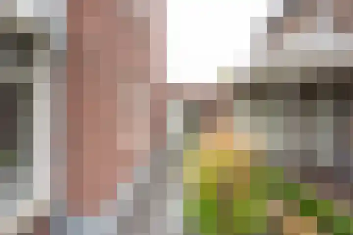 Bosbes 7 Nijkerk thumbnail 7