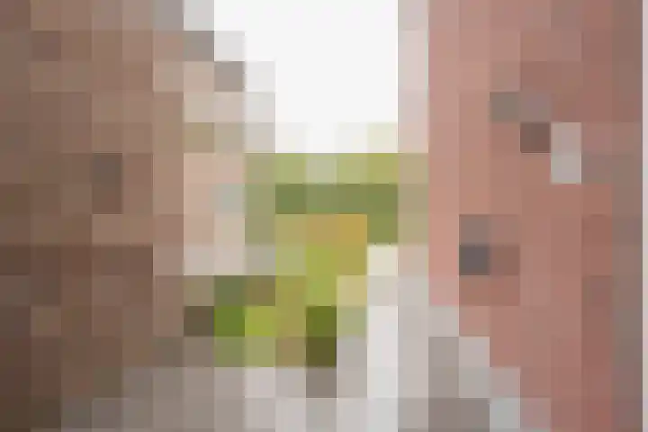 Bosbes 7 Nijkerk thumbnail 8