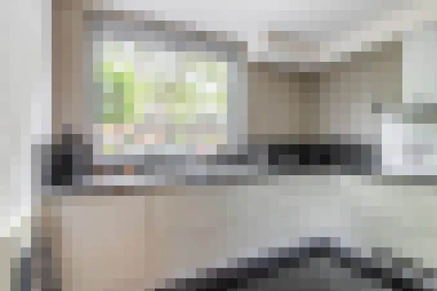 Bosbes 84 Rotterdam thumbnail 12