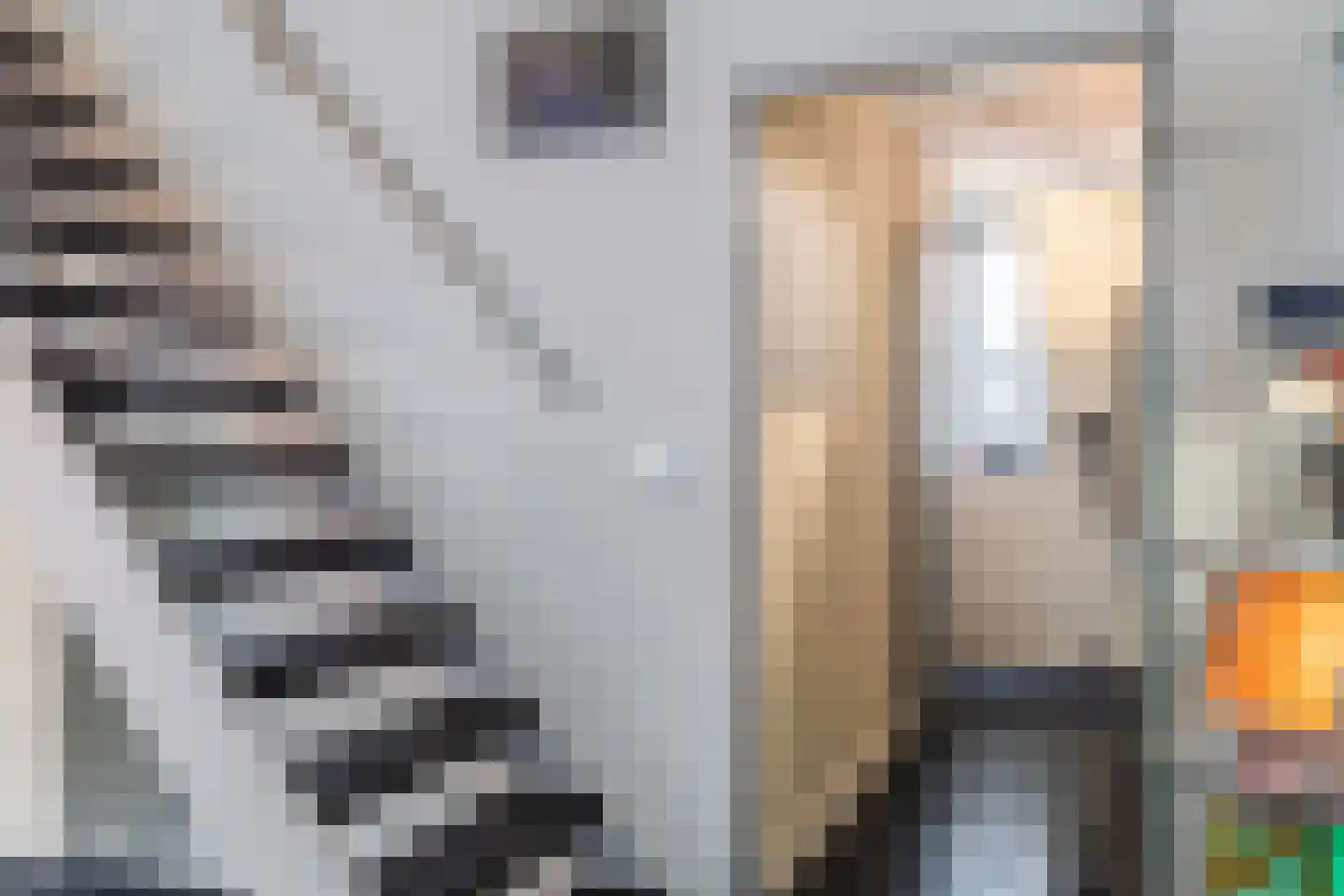 Bosbes 84 Rotterdam thumbnail 18
