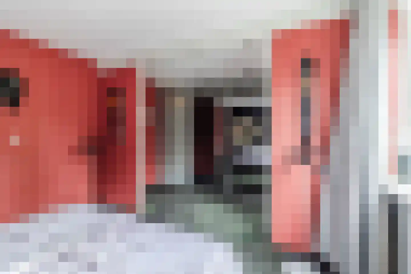 Bosbes 84 Rotterdam thumbnail 23