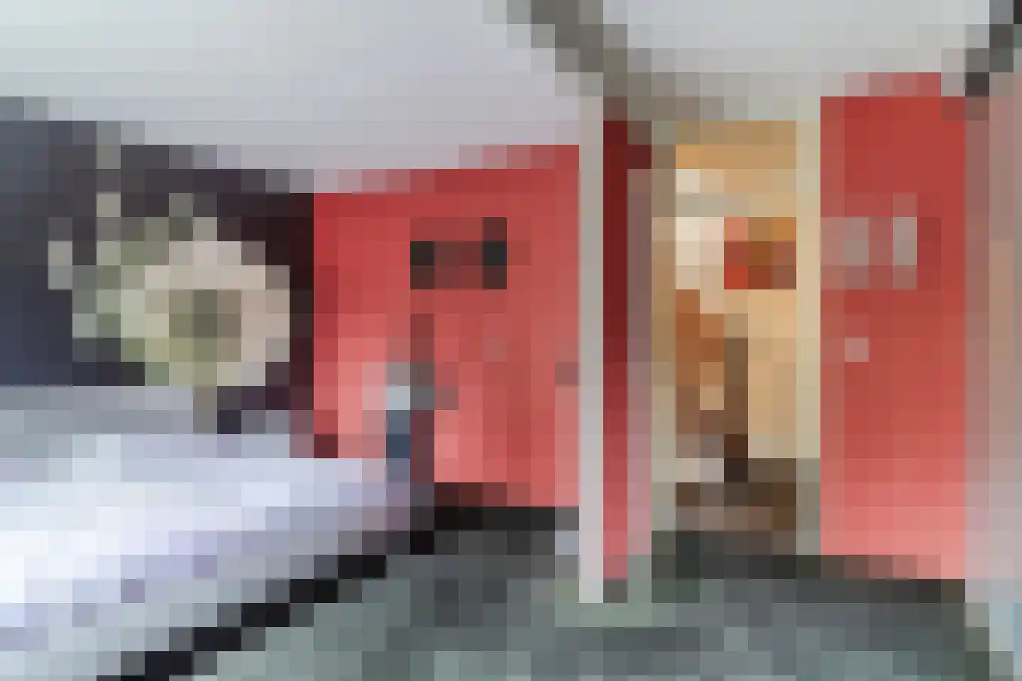 Bosbes 84 Rotterdam thumbnail 24