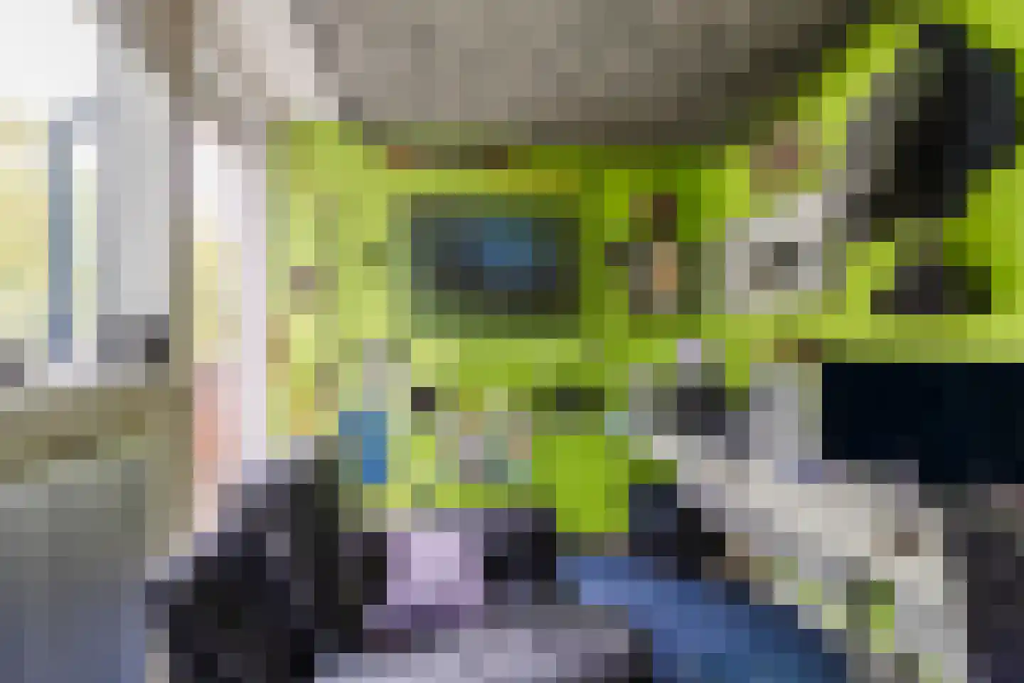 Bosbes 84 Rotterdam thumbnail 25