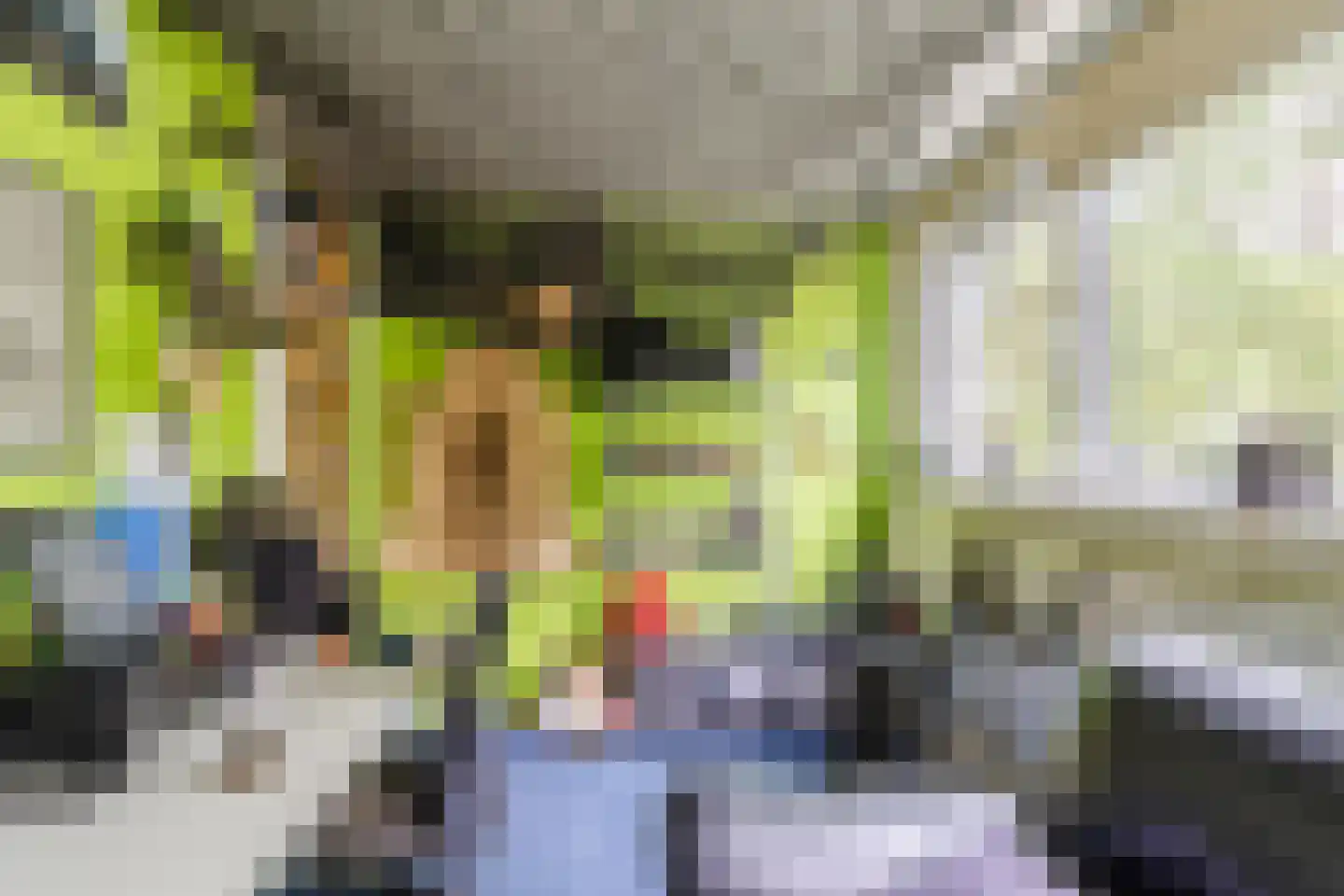 Bosbes 84 Rotterdam thumbnail 26