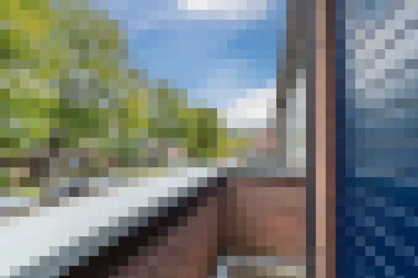 Bosbes 84 Rotterdam thumbnail 31