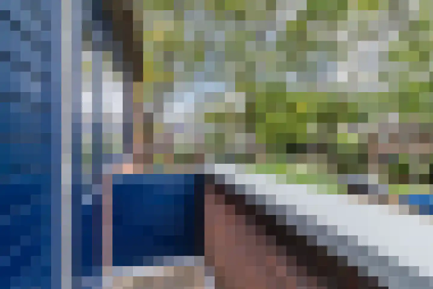 Bosbes 84 Rotterdam thumbnail 32