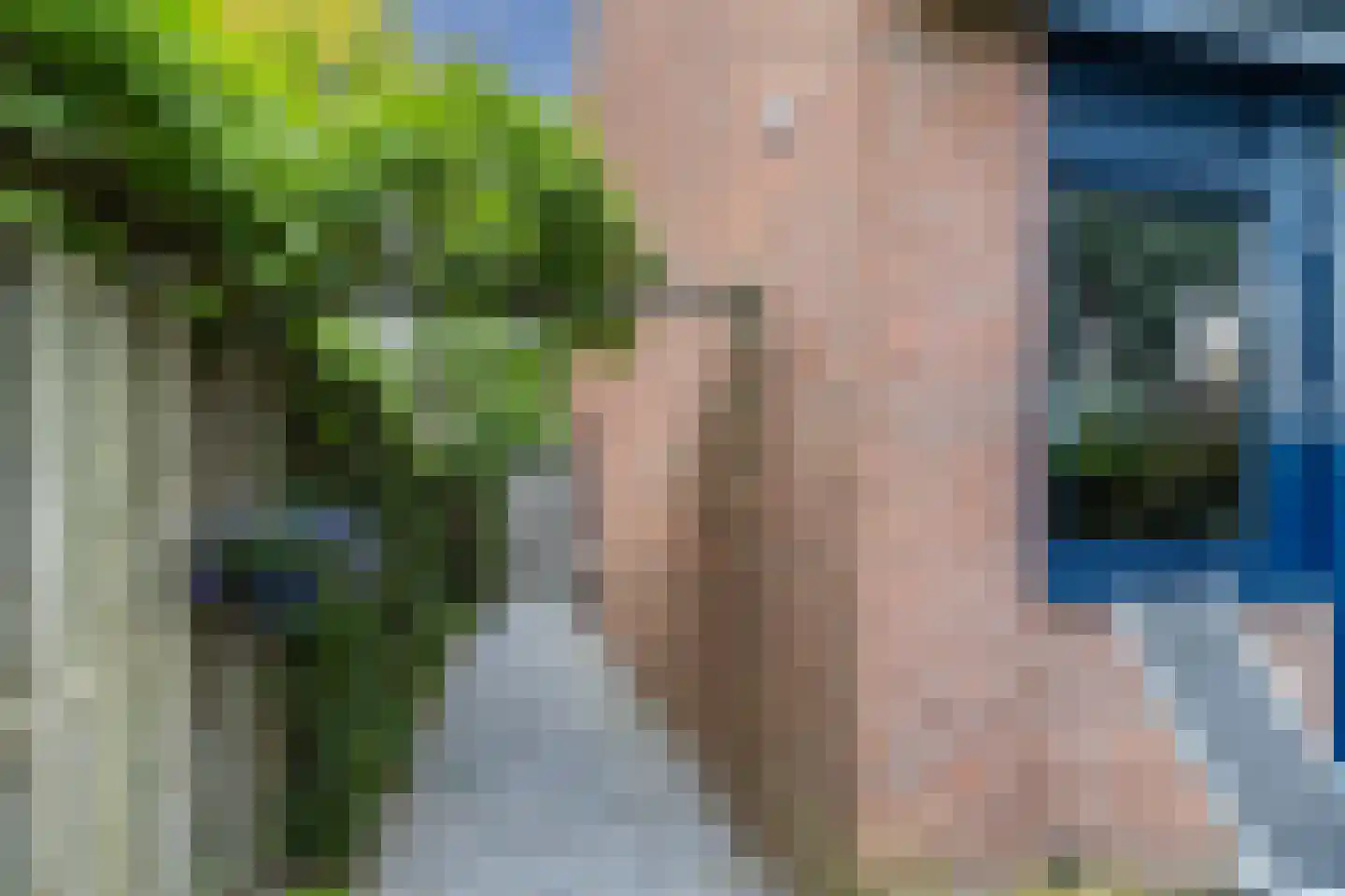 Bosbes 84 Rotterdam thumbnail 41
