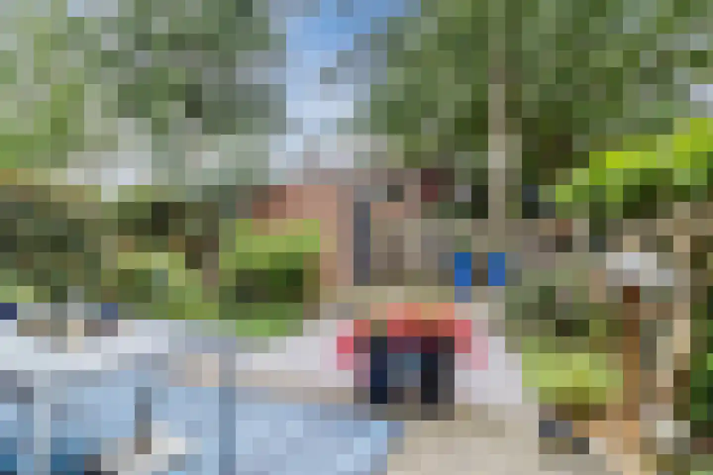 Bosbes 84 Rotterdam thumbnail 42