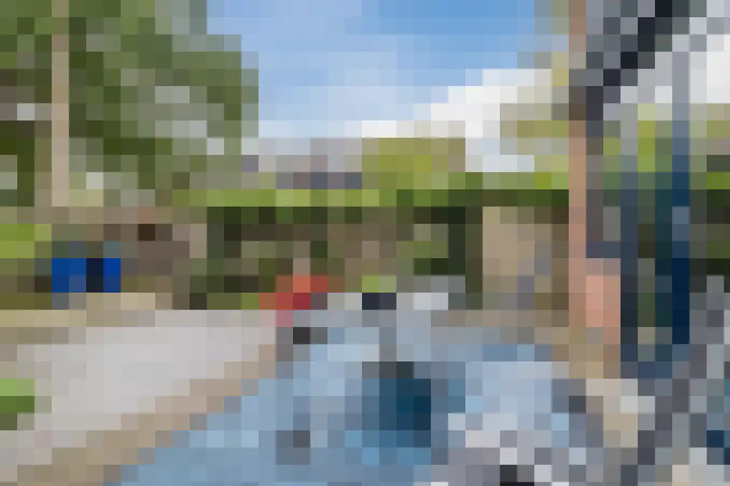 Bosbes 84 Rotterdam thumbnail 43