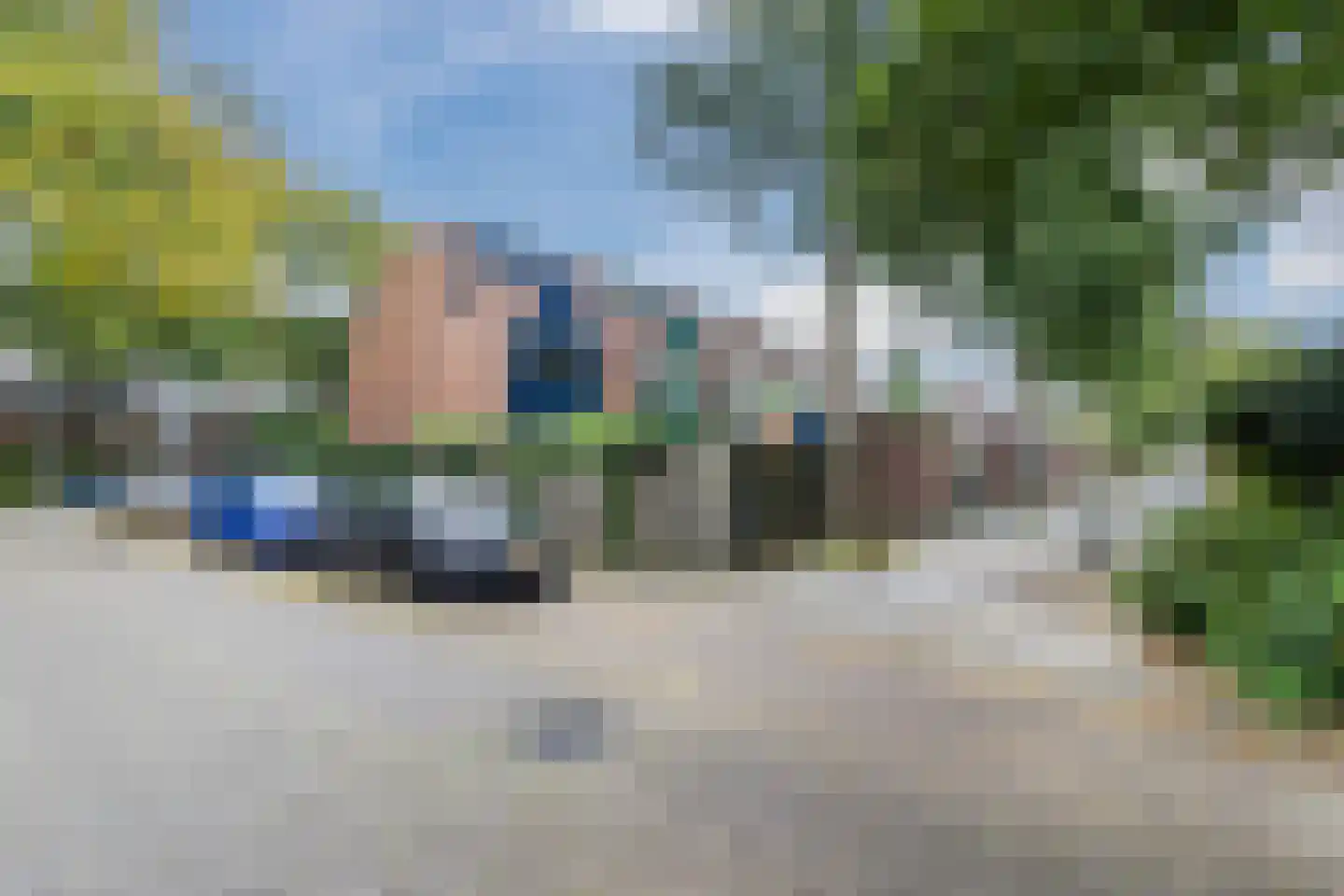 Bosbes 84 Rotterdam thumbnail 44