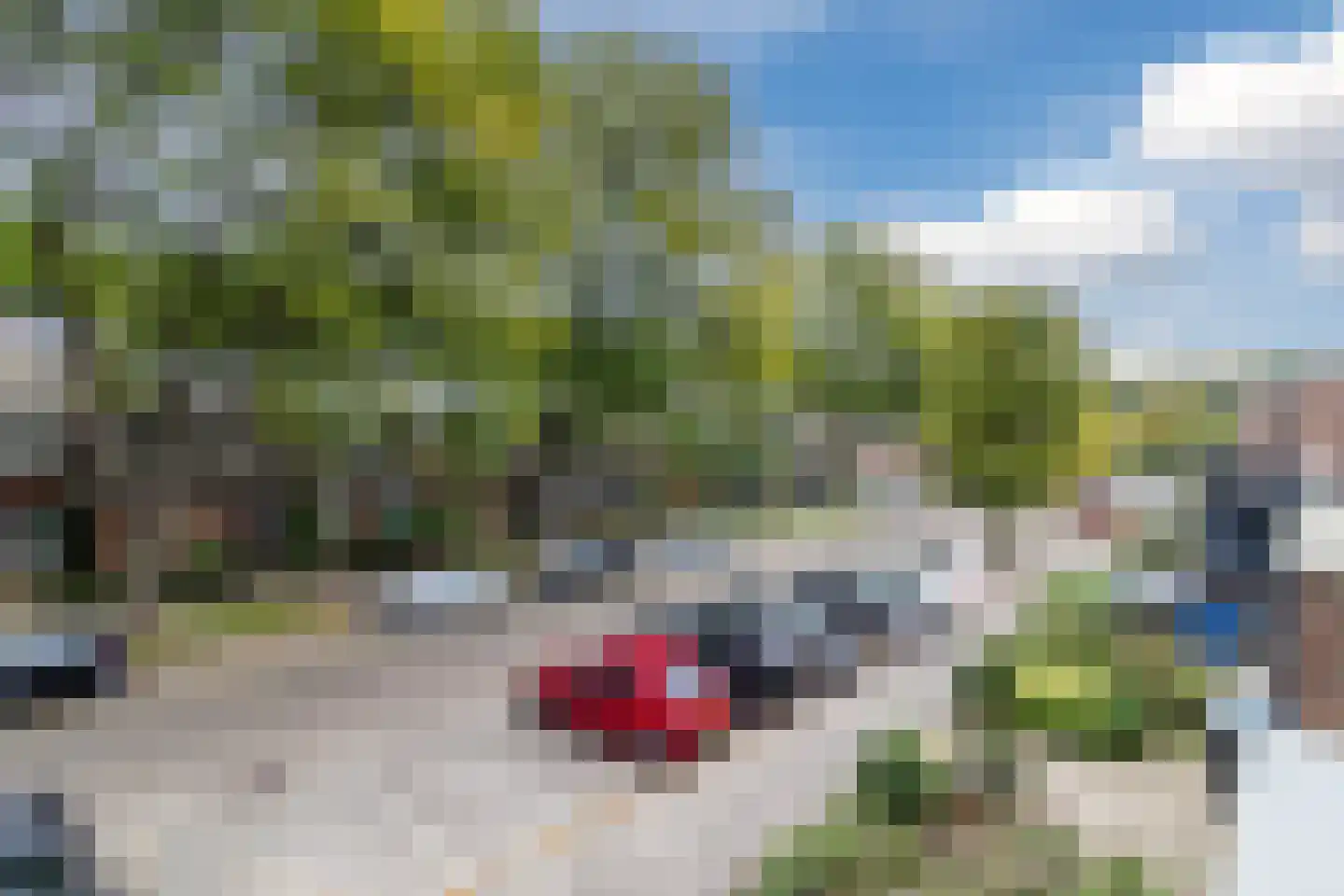 Bosbes 84 Rotterdam thumbnail 45