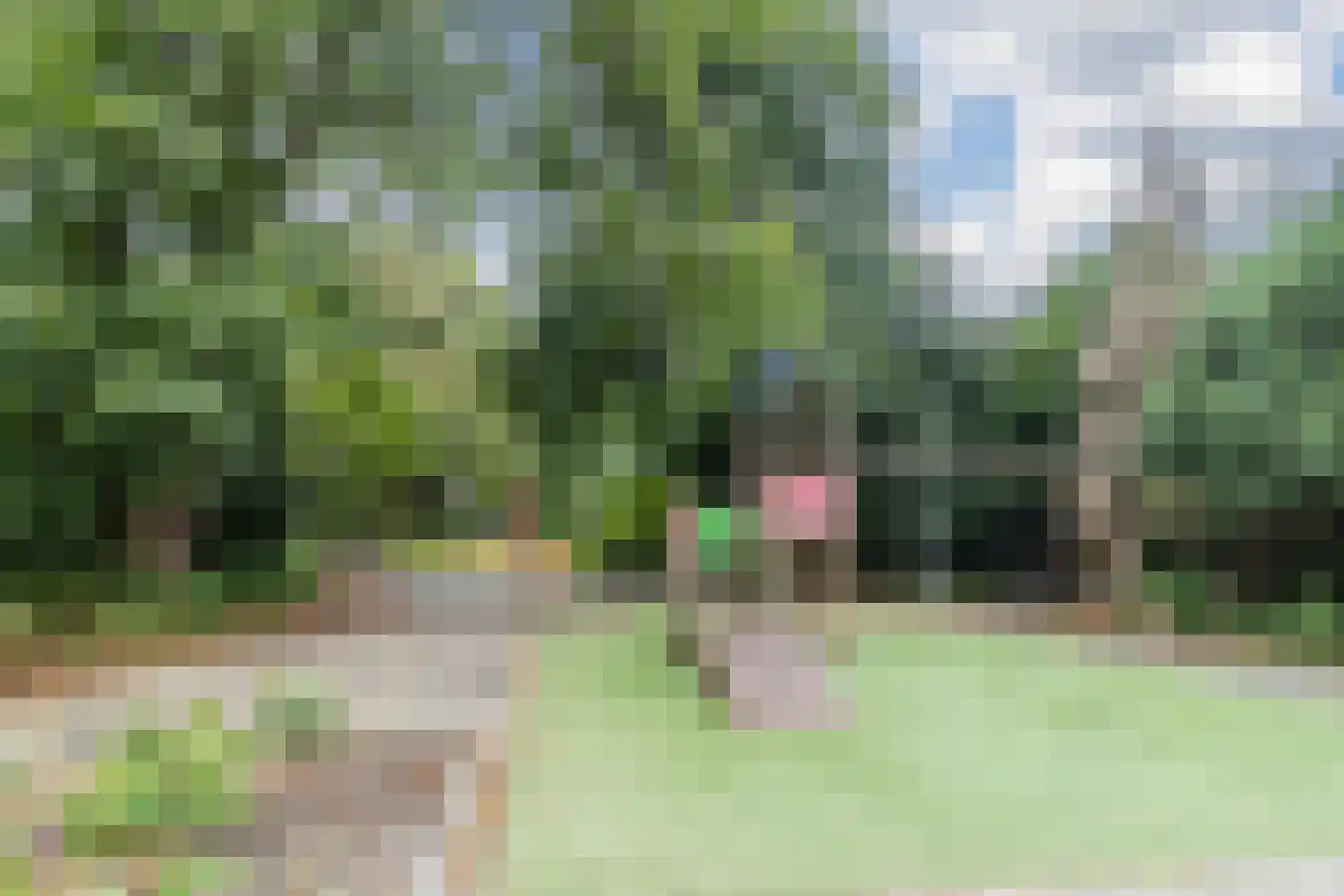 Bosbes 84 Rotterdam thumbnail 51