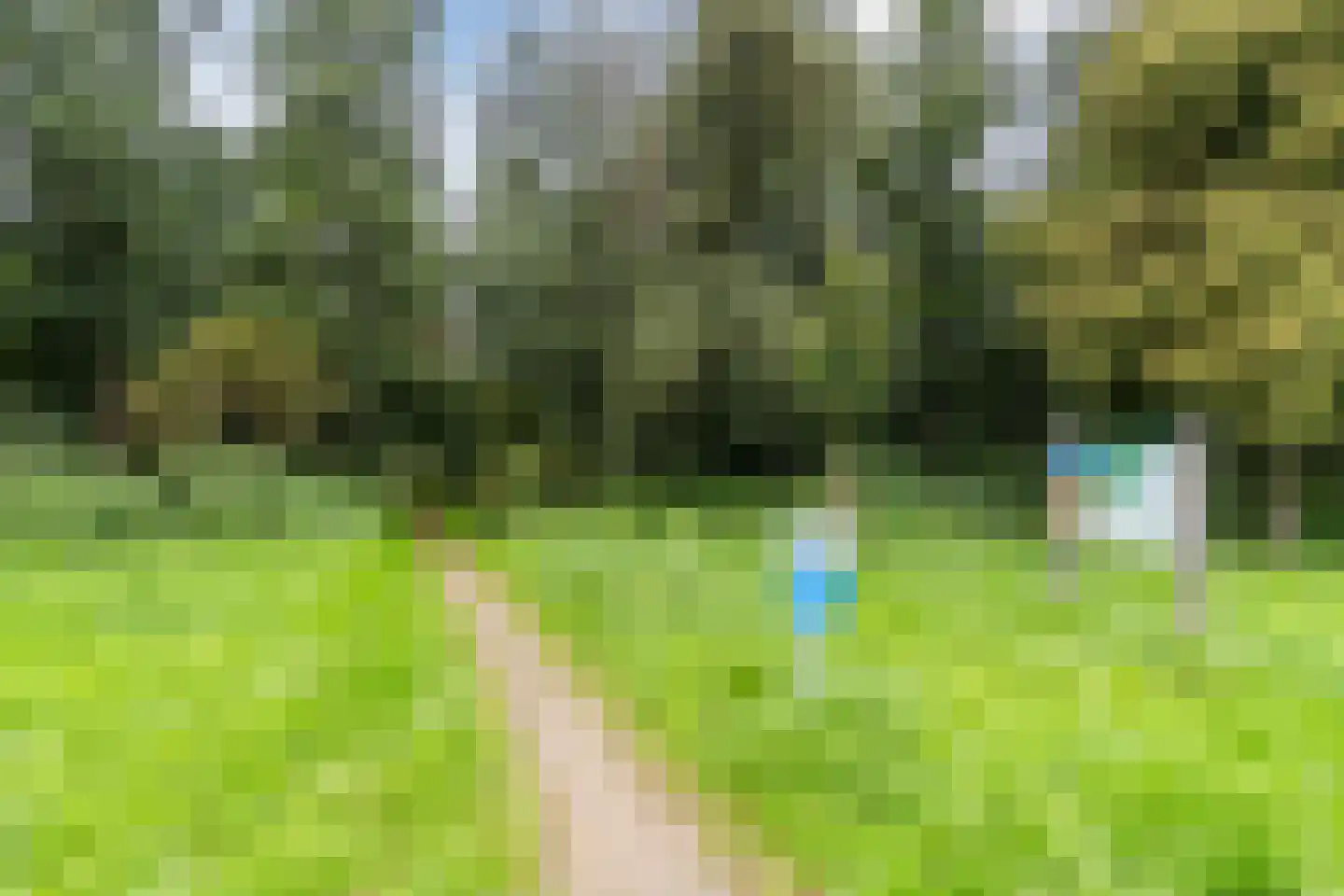 Bosbes 84 Rotterdam thumbnail 52