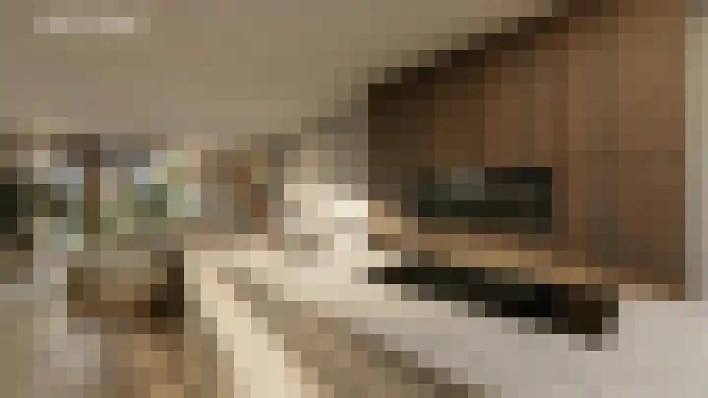 Bosbes 9 Someren thumbnail 10
