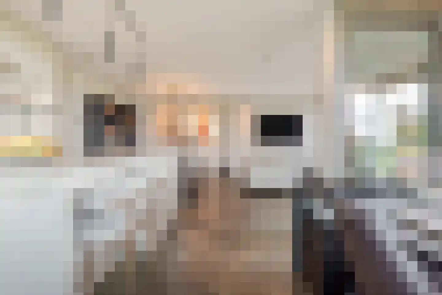 Bosbeshof 101 Ede thumbnail 5