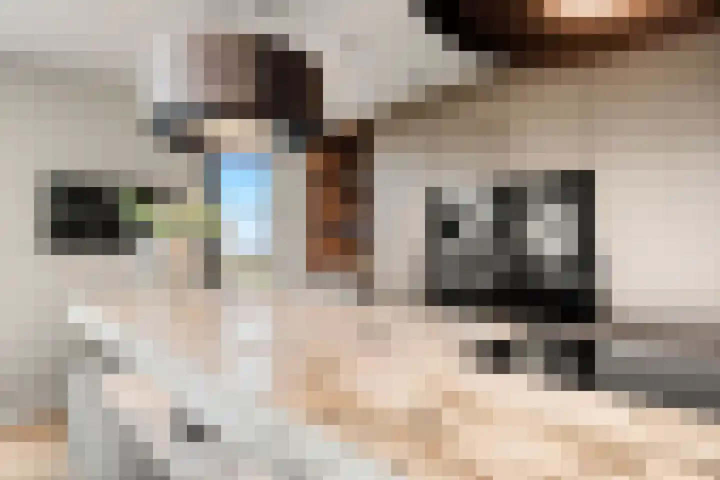 Bosbeshof 103 Ede thumbnail 13