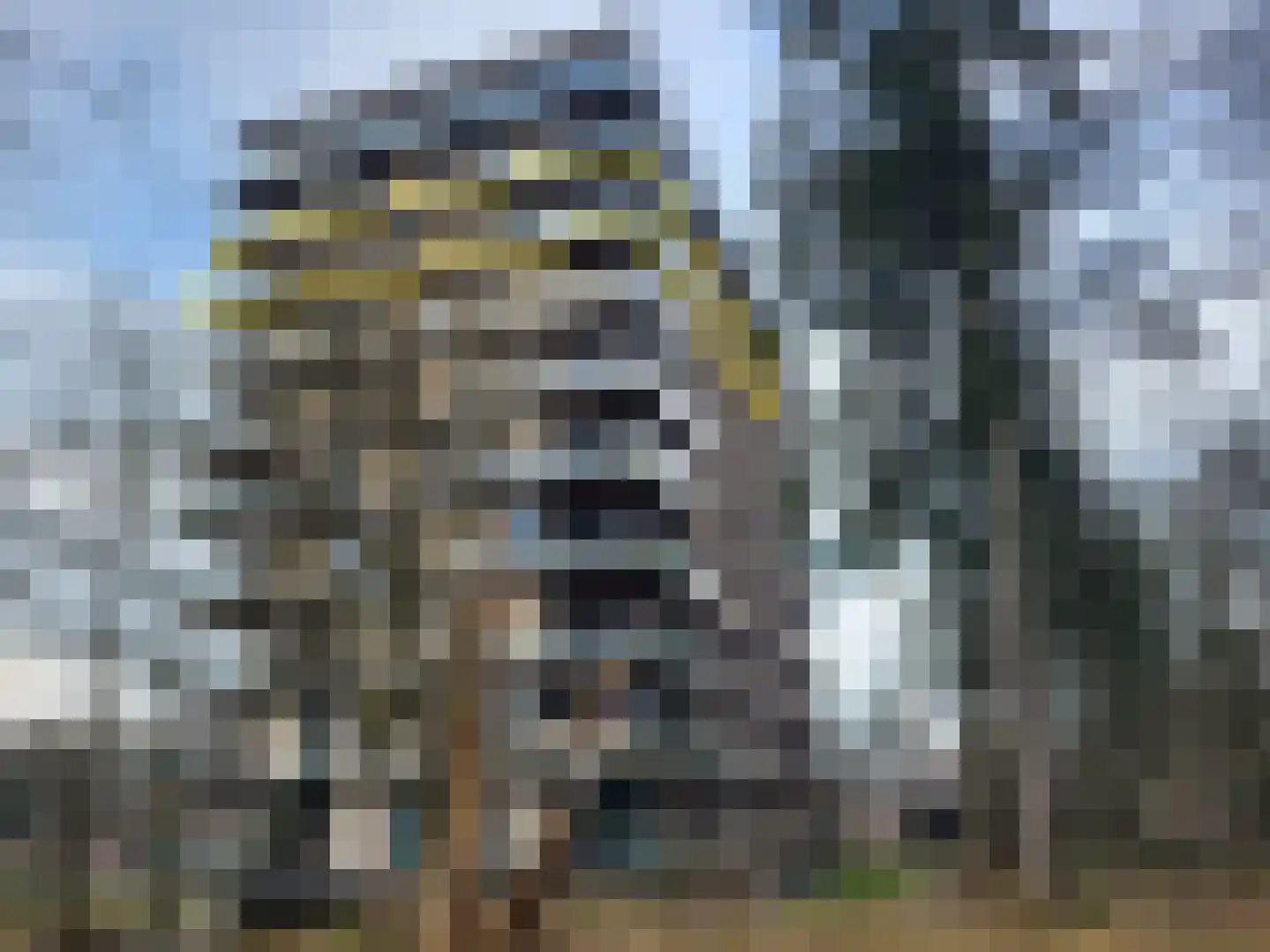 Bosbeshof 103 Ede thumbnail 50