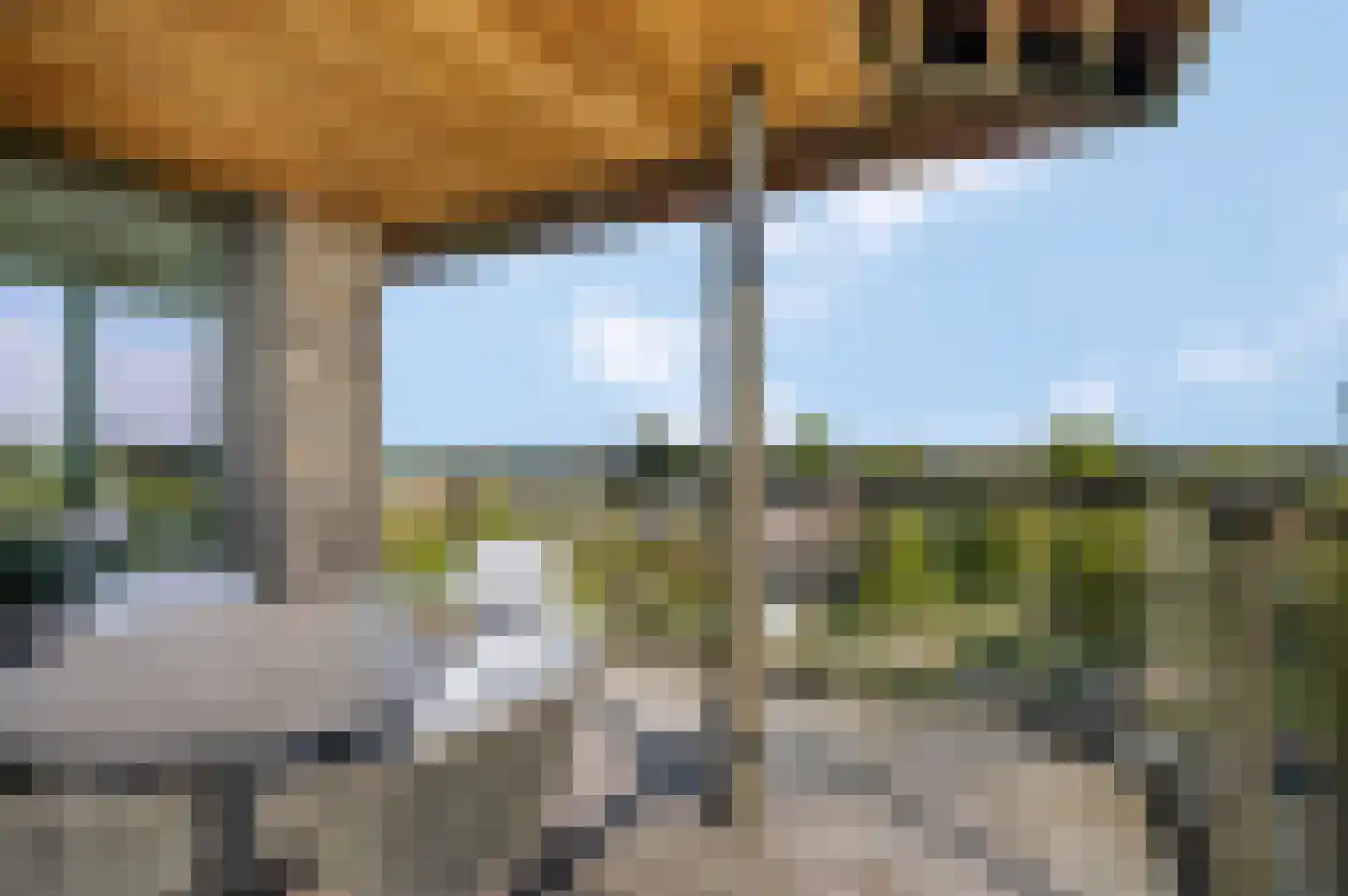 Bosbeshof 113 Ede thumbnail 21