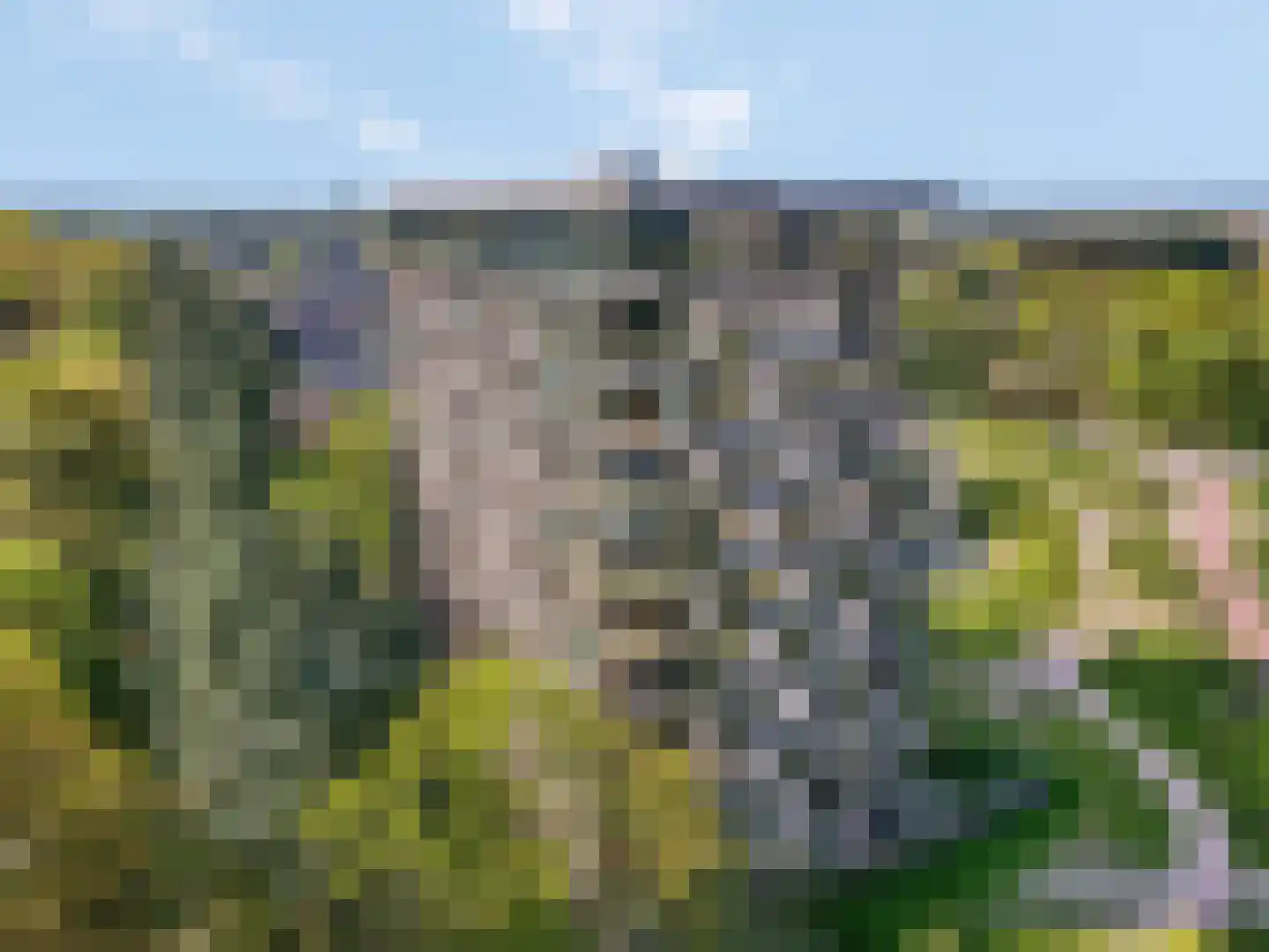 Bosbeshof 113 Ede thumbnail 24