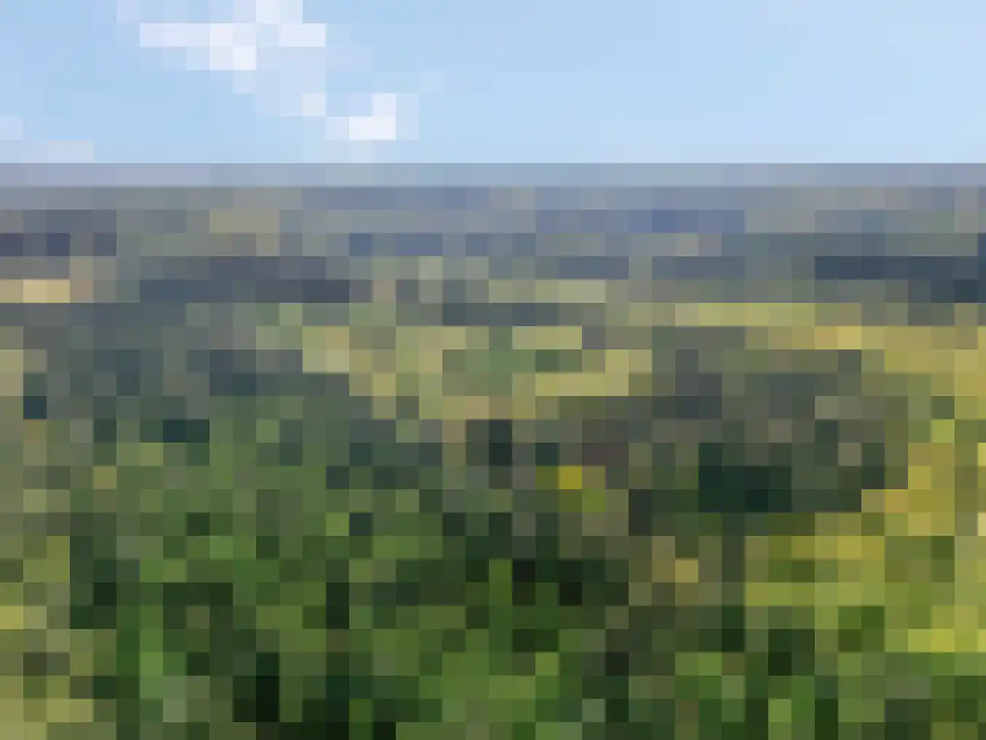 Bosbeshof 113 Ede thumbnail 32