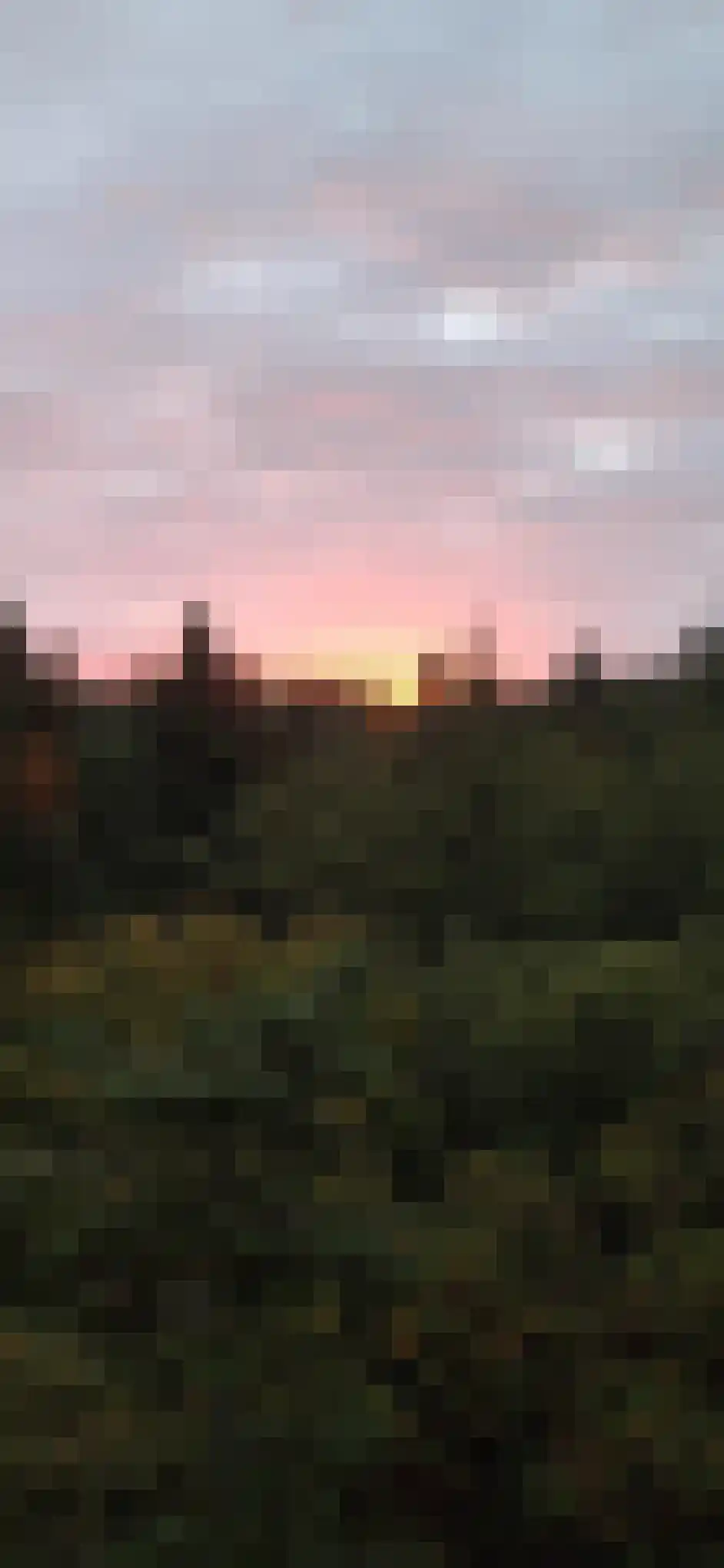 Bosbeshof 113 Ede thumbnail 38