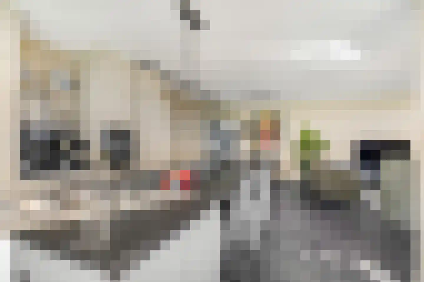 Bosbeshof 113 Ede thumbnail 4