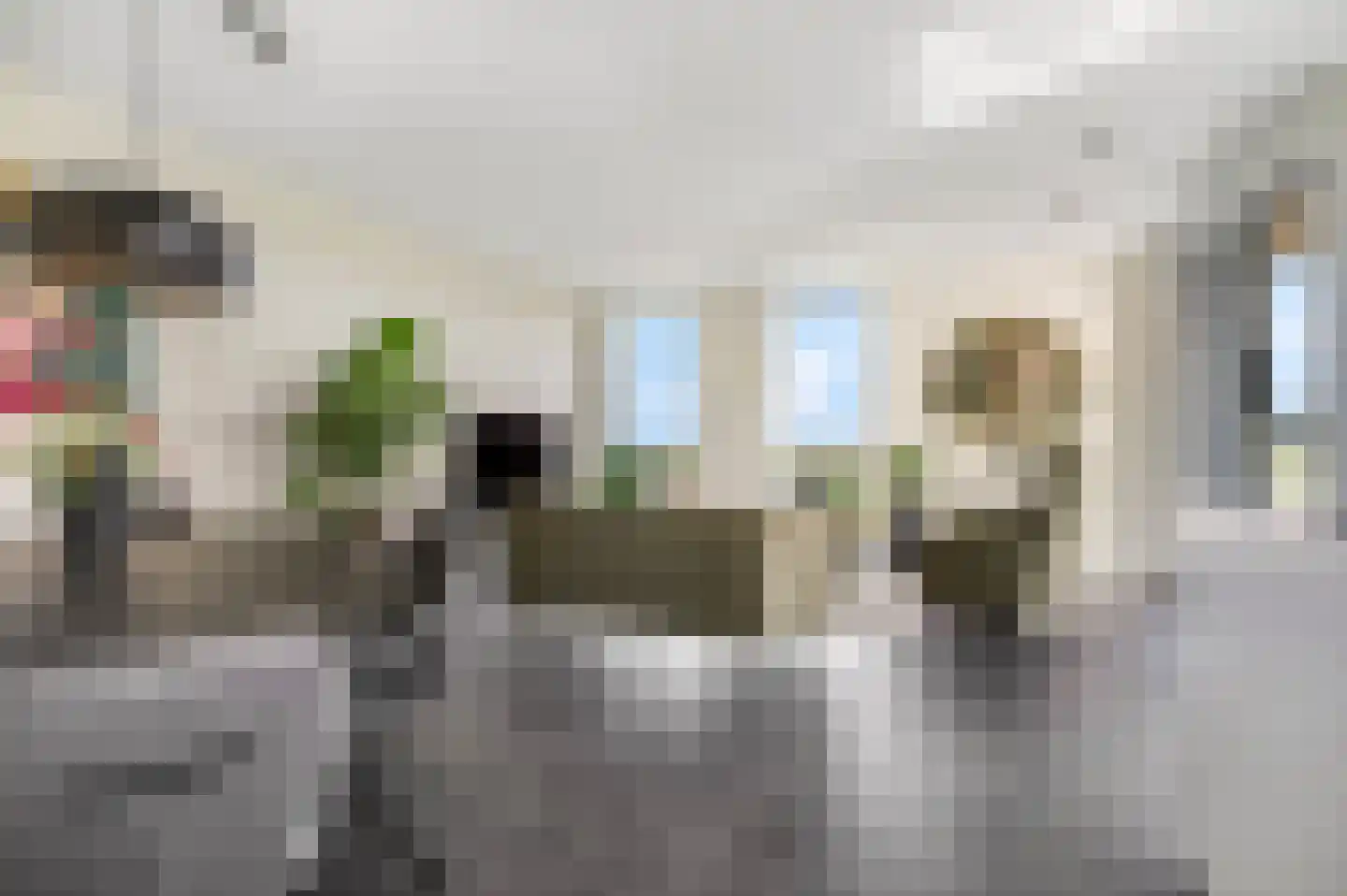 Bosbeshof 113 Ede thumbnail 6