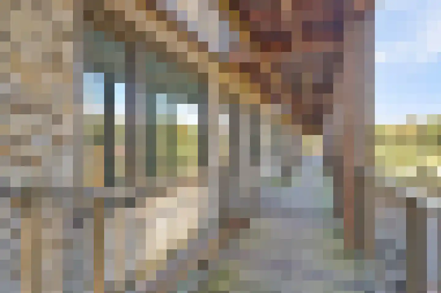 Bosbeshof 19 Ede thumbnail 13
