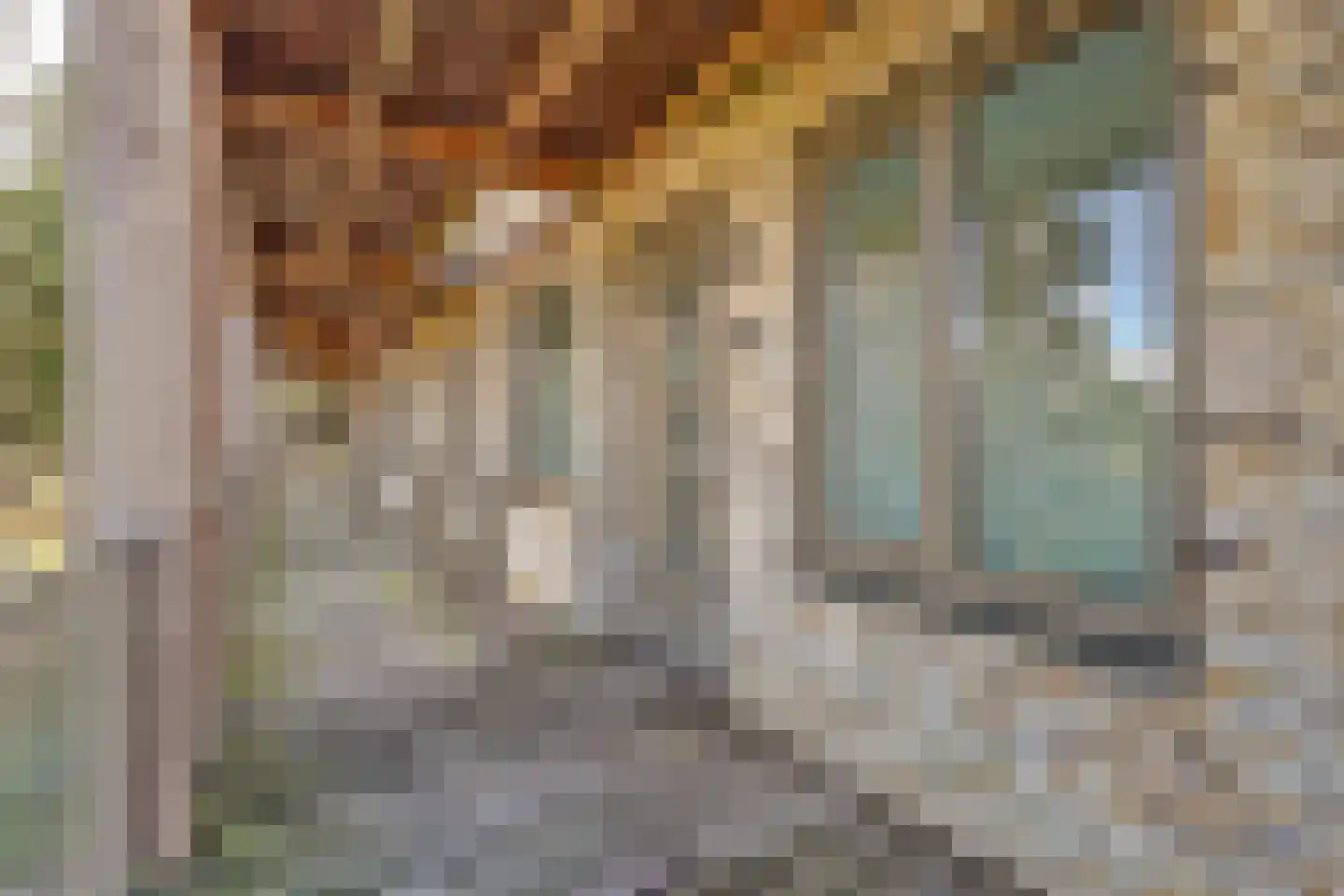 Bosbeshof 19 Ede thumbnail 14