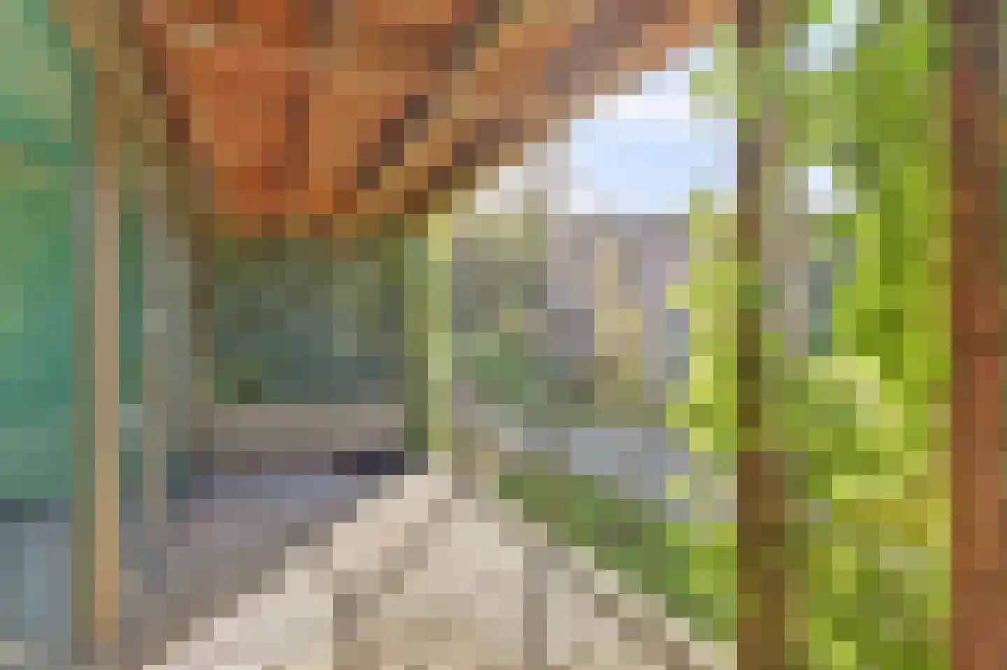 Bosbeshof 19 Ede thumbnail 22