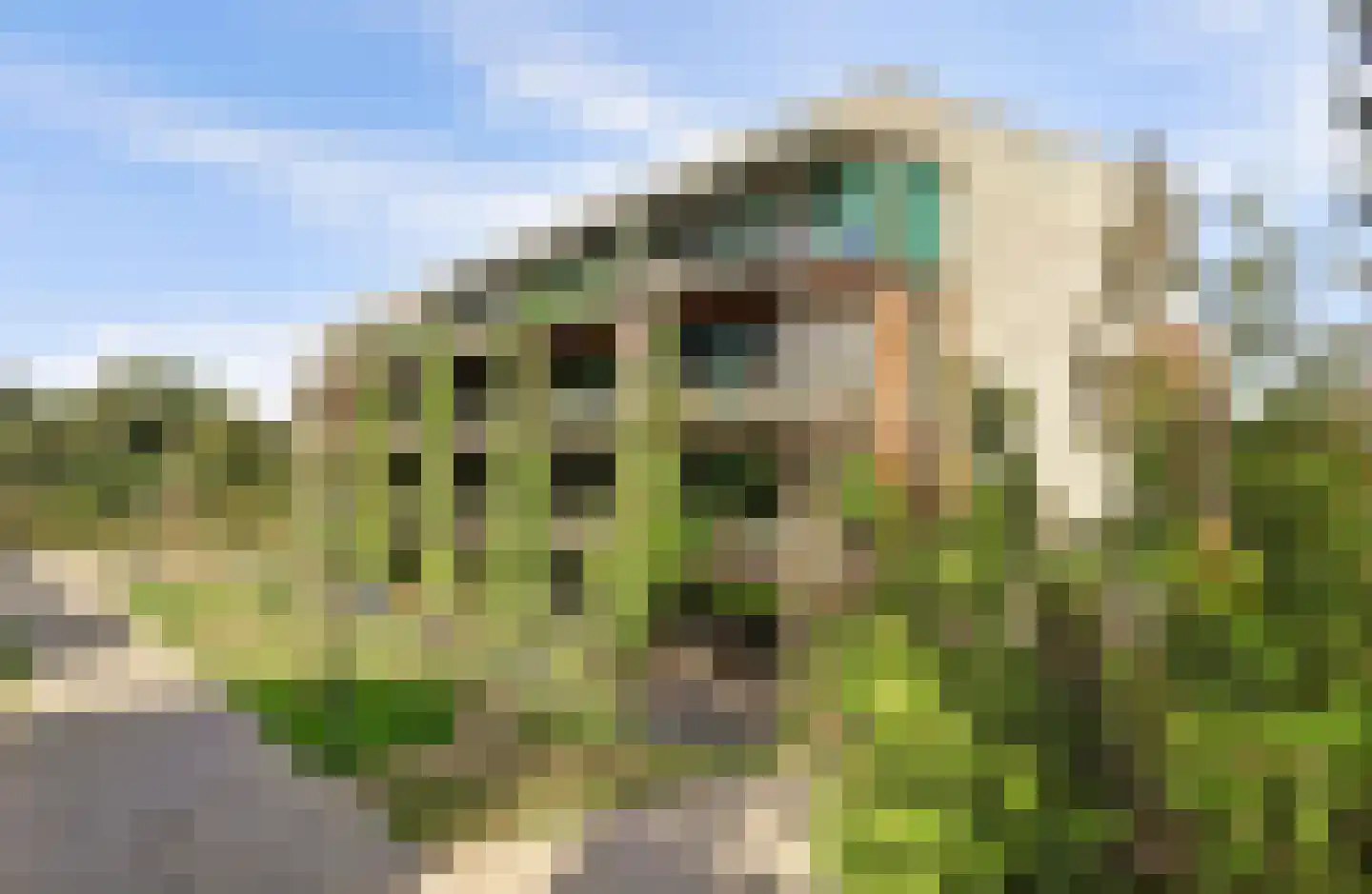 Bosbeshof 19 Ede thumbnail 37