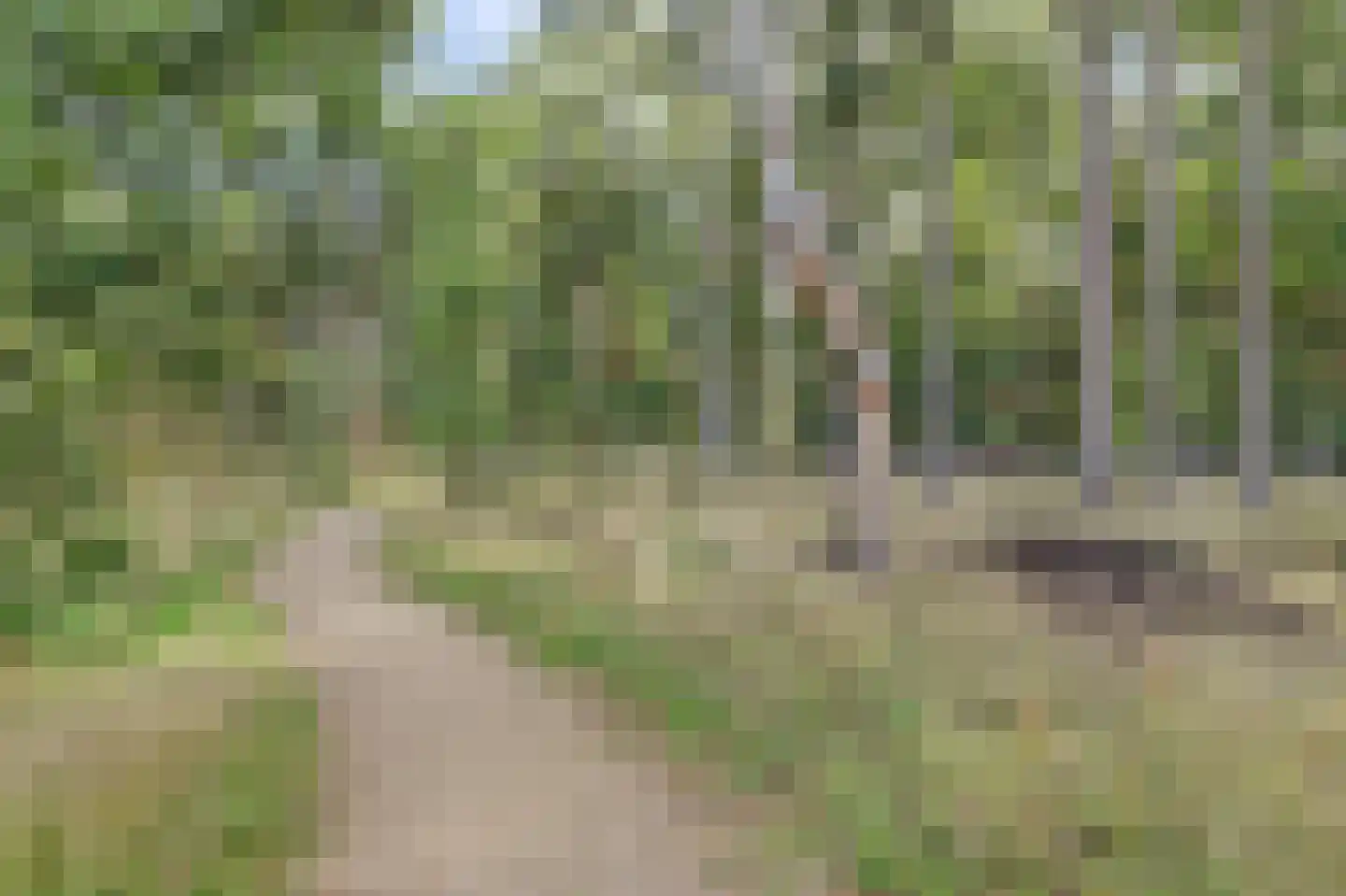 Bosbeshof 19 Ede thumbnail 39