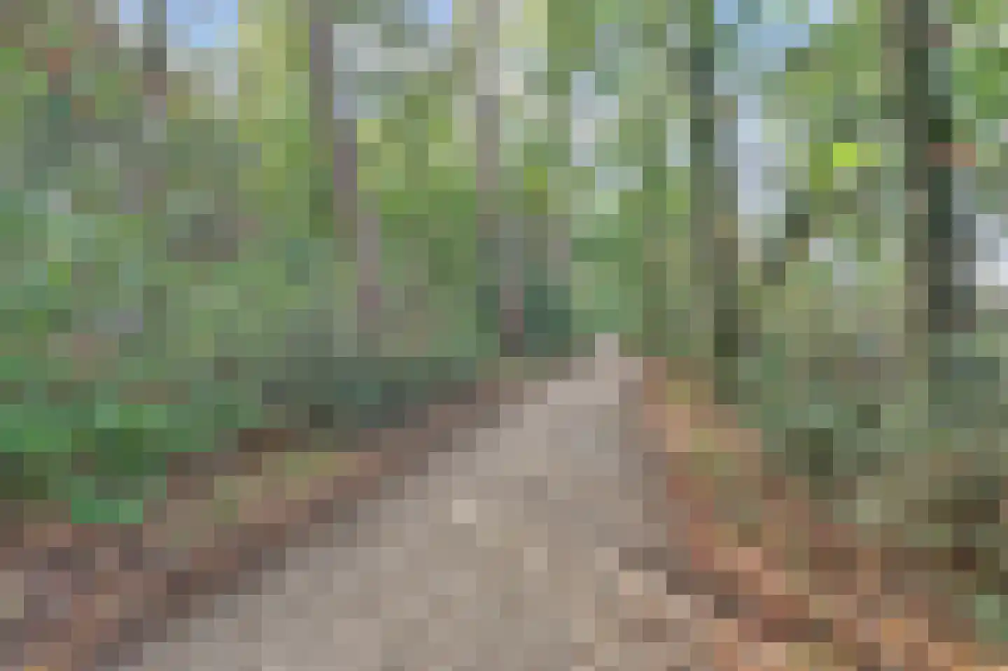 Bosbeshof 19 Ede thumbnail 41
