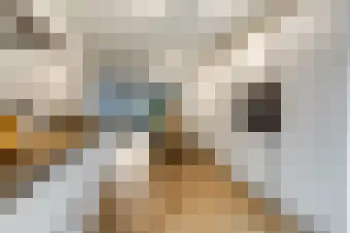 Bosbeshof 30 Ede thumbnail 11