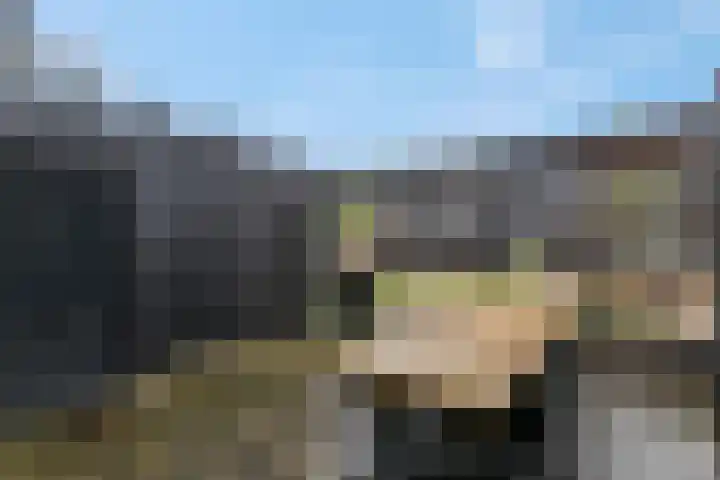 Bosbeshof 30 Ede thumbnail 36
