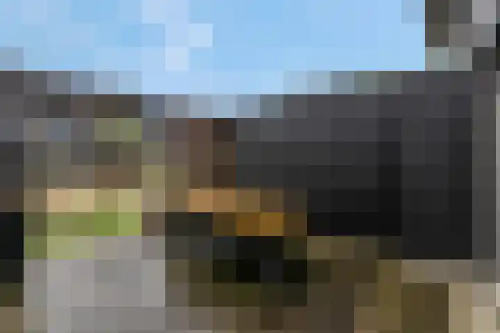 Bosbeshof 30 Ede thumbnail 37