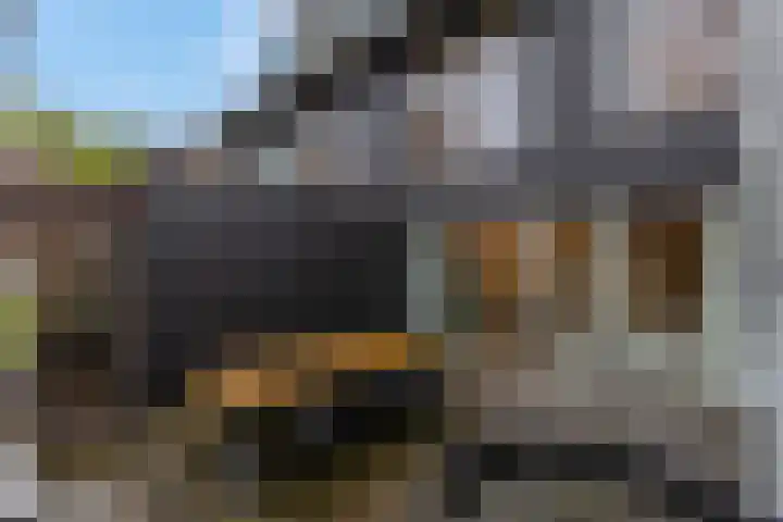 Bosbeshof 30 Ede thumbnail 38