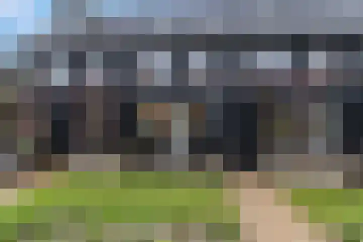 Bosbeshof 30 Ede thumbnail 39