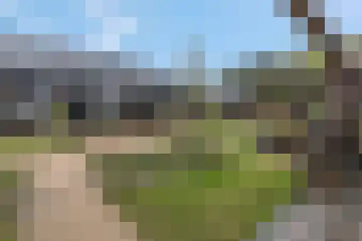 Bosbeshof 30 Ede thumbnail 40