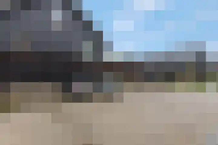 Bosbeshof 30 Ede thumbnail 41