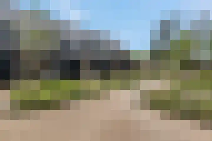 Bosbeshof 30 Ede thumbnail 43