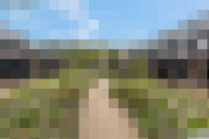 Bosbeshof 30 Ede thumbnail 44