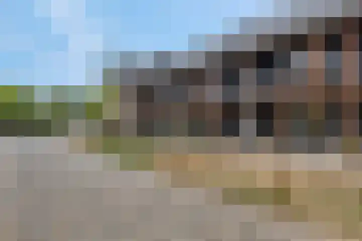 Bosbeshof 30 Ede thumbnail 45