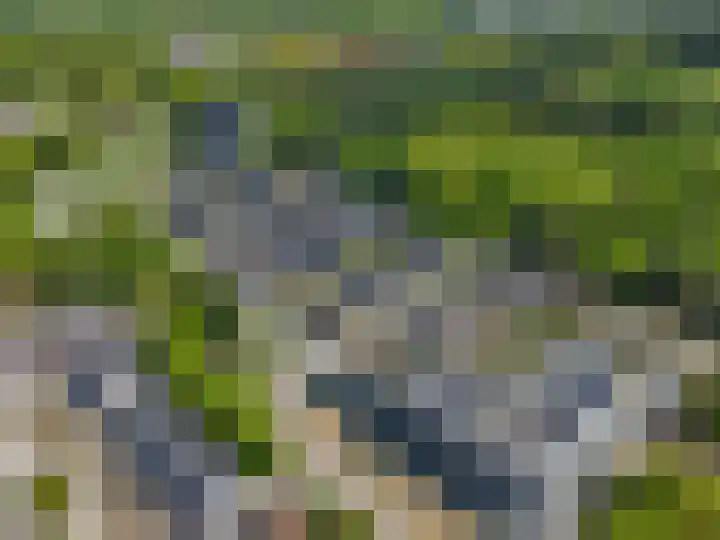 Bosbeshof 30 Ede thumbnail 49