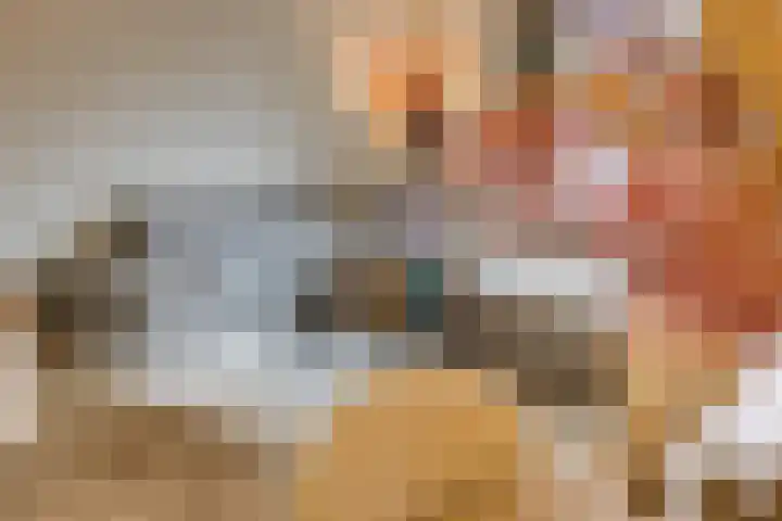 Bosbeshof 30 Ede thumbnail 5