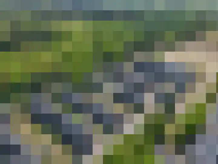Bosbeshof 30 Ede thumbnail 50
