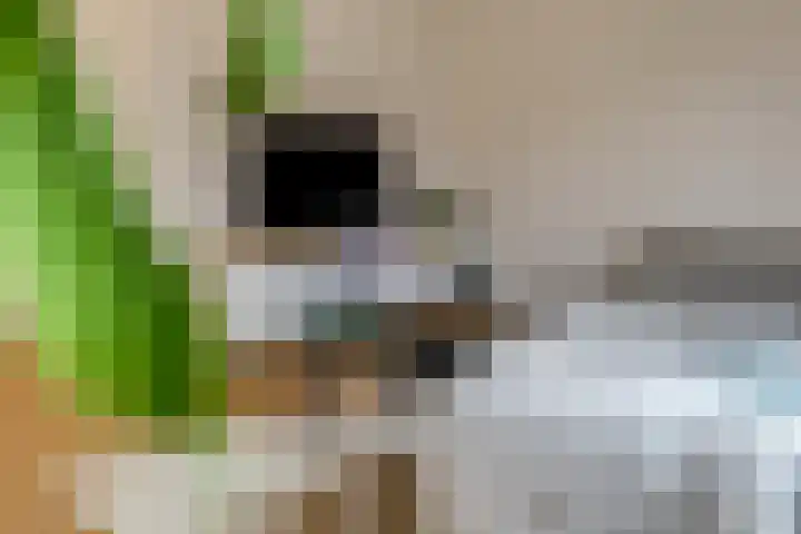 Bosbeshof 30 Ede thumbnail 6
