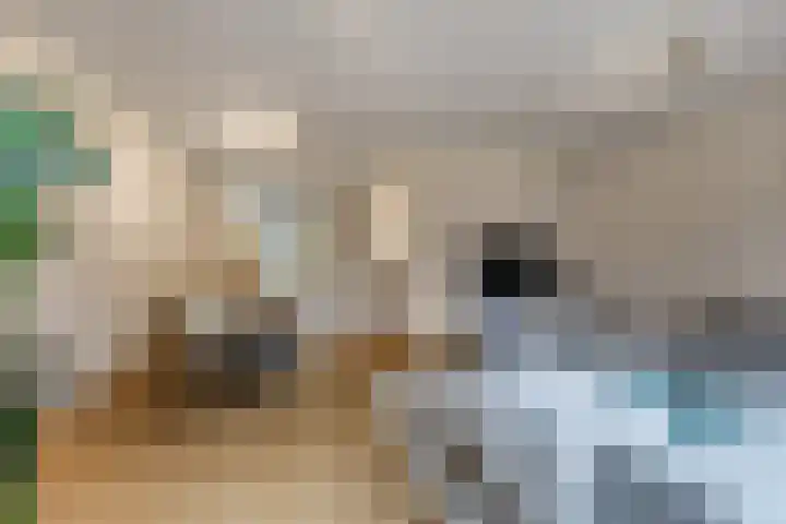 Bosbeshof 30 Ede thumbnail 8