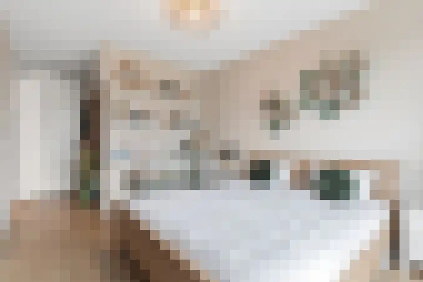 Bosbeshof 44 Ede thumbnail 21