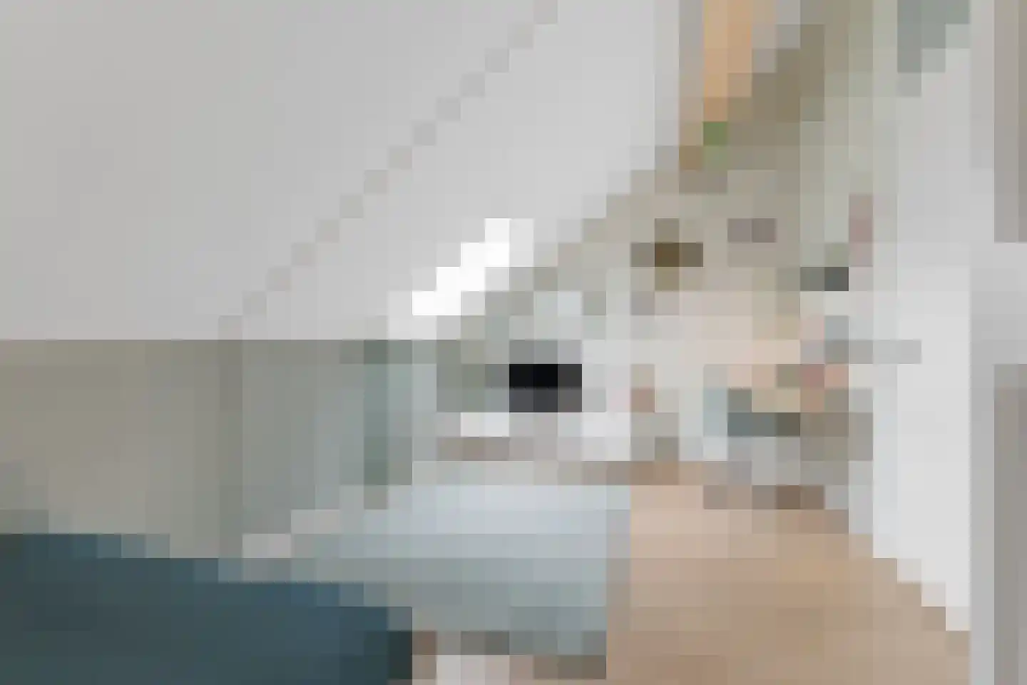 Bosbeshof 44 Ede thumbnail 35